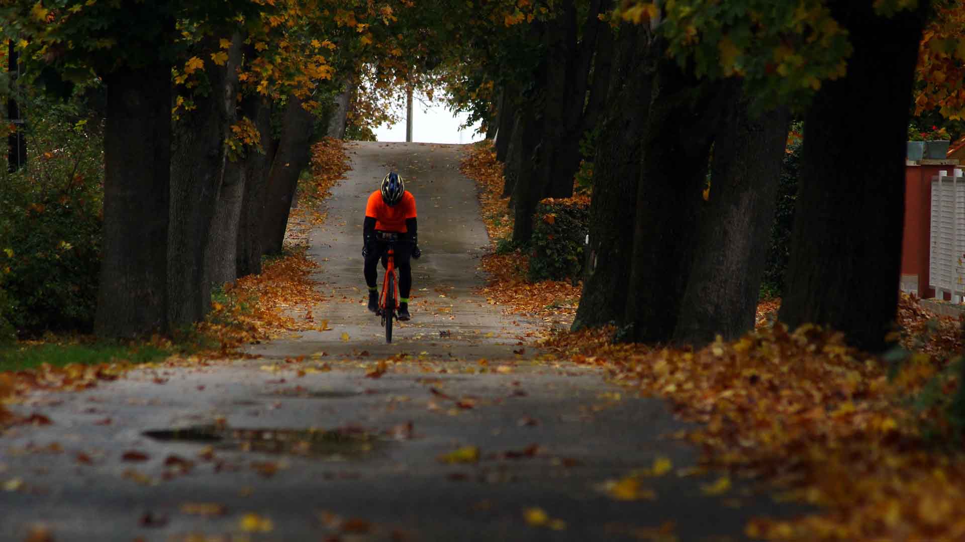 Podzimní cyklistika – Jak si užít barevný podzim na kole 3